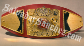 Sasson belt