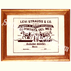 framed award