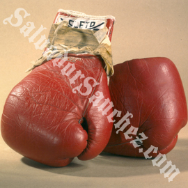 gloves