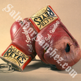 gloves