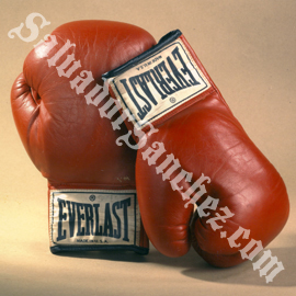 gloves