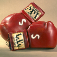 Sanchez glove