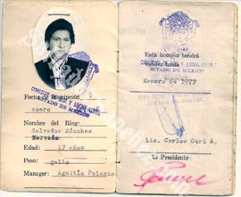 Esta licence