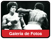 galeria de fotos